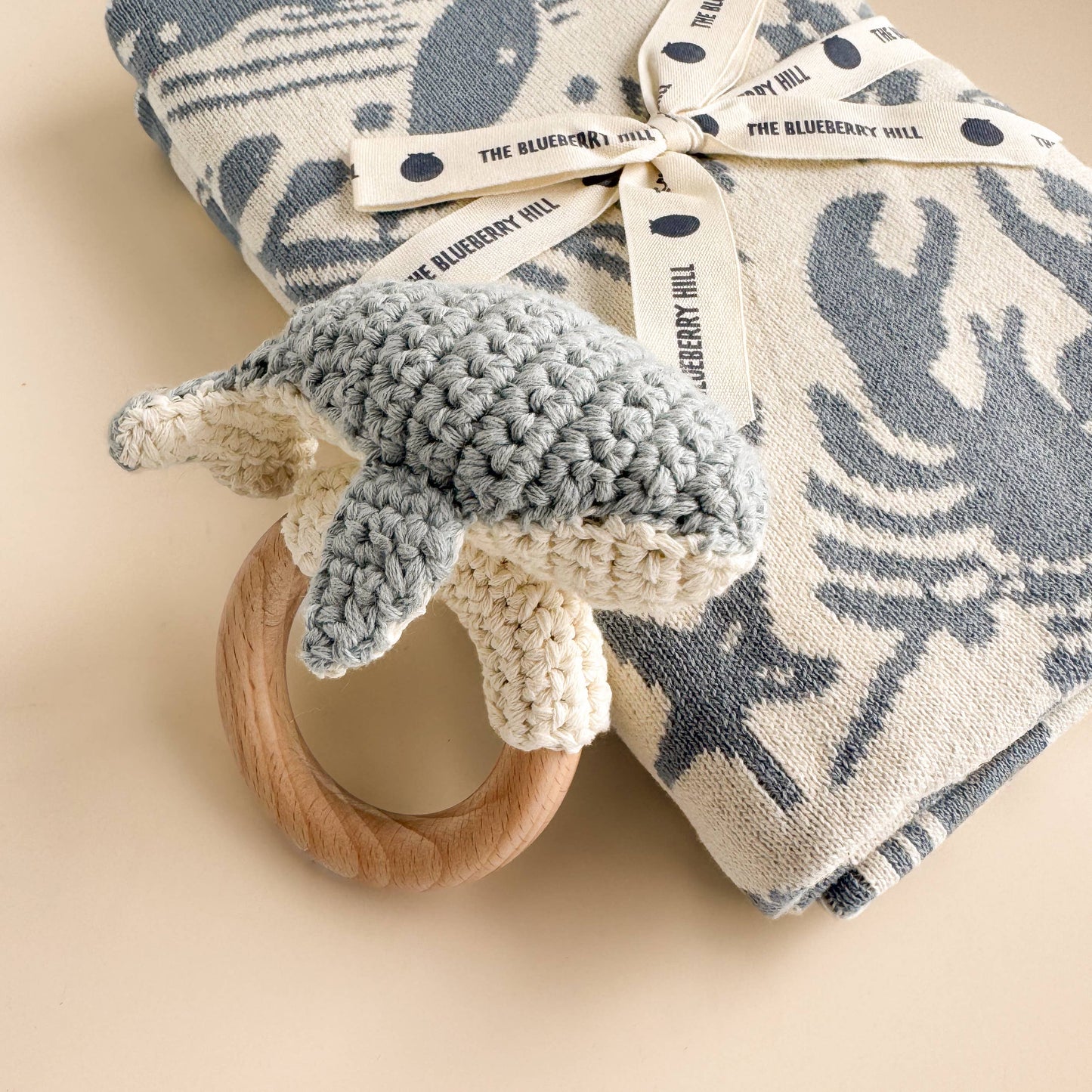 Baby Gift Set with Nautical Blanket, Whale Teether, Organic Cotton Hat