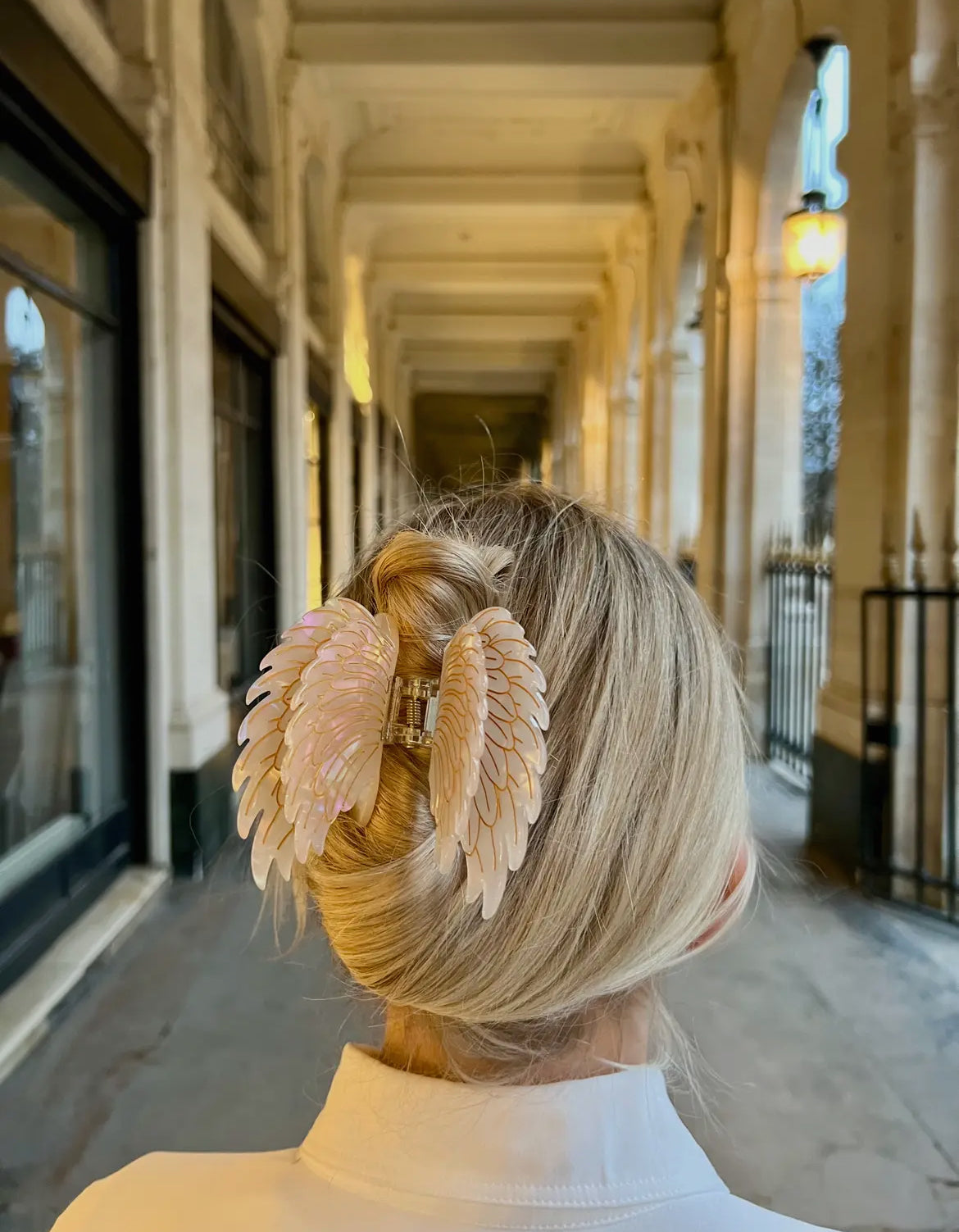 Hand Painted Claw Clip