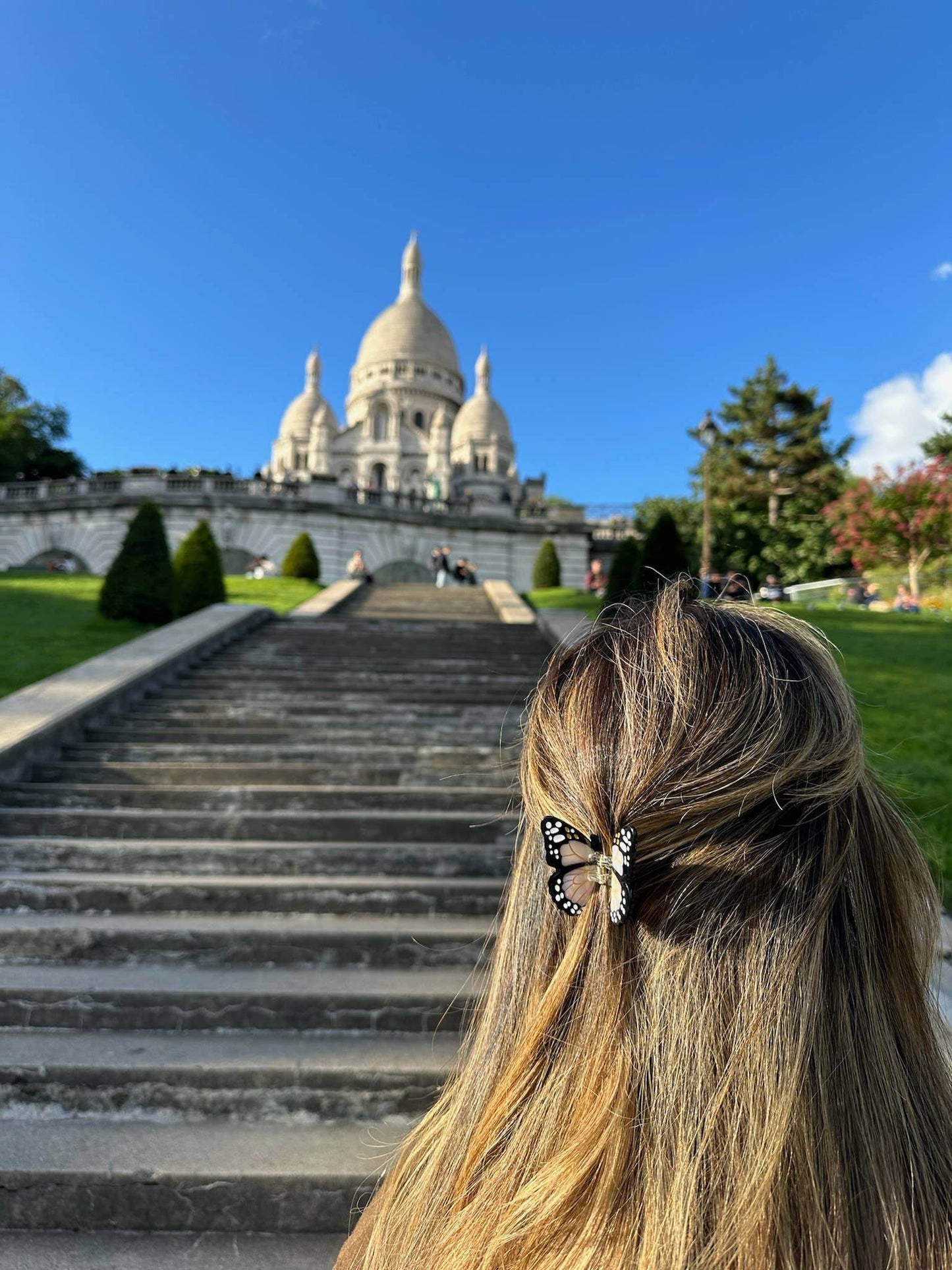 Hand-painted Mini Monarch Claw Hair Clip | Eco-Friendly - SAUVAGE ZSA™