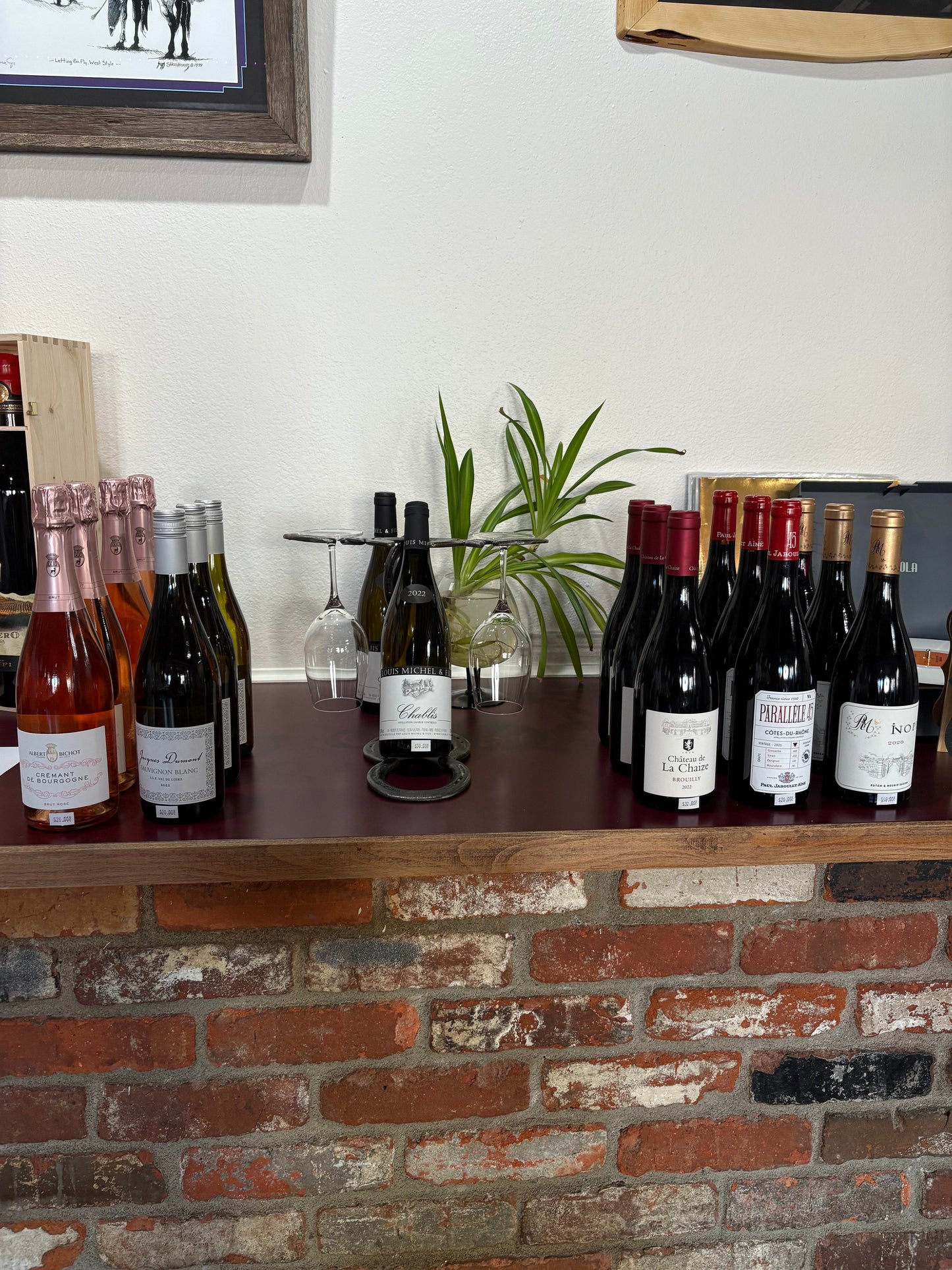 Wine Tasting - SAUVAGE ZSA™