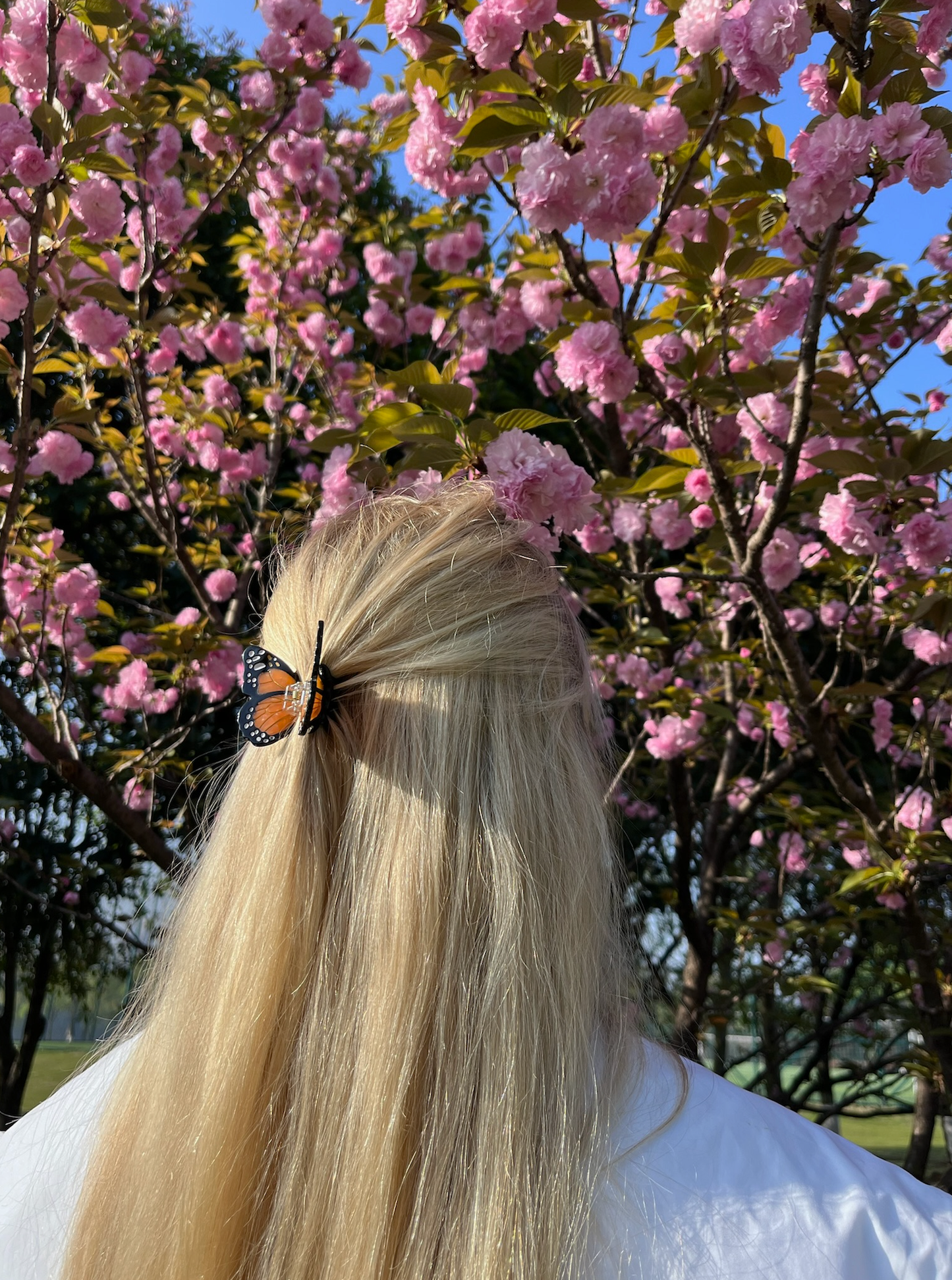 Hand Painted Claw Clip