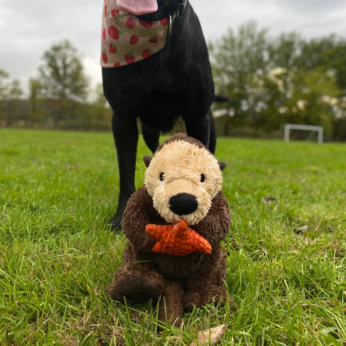 Otter Rope Body Large Dog Toy