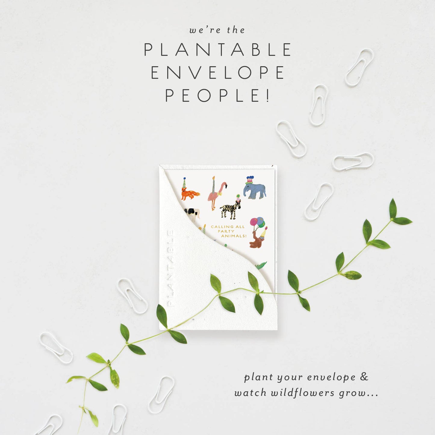Cute Animal Party - Plantable Birthday Mini Greeting Card