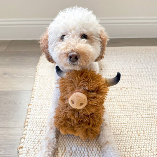 Highland Cow Squeaker Dog Toy