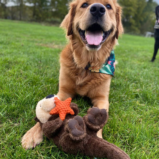 Otter Rope Body Large Dog Toy