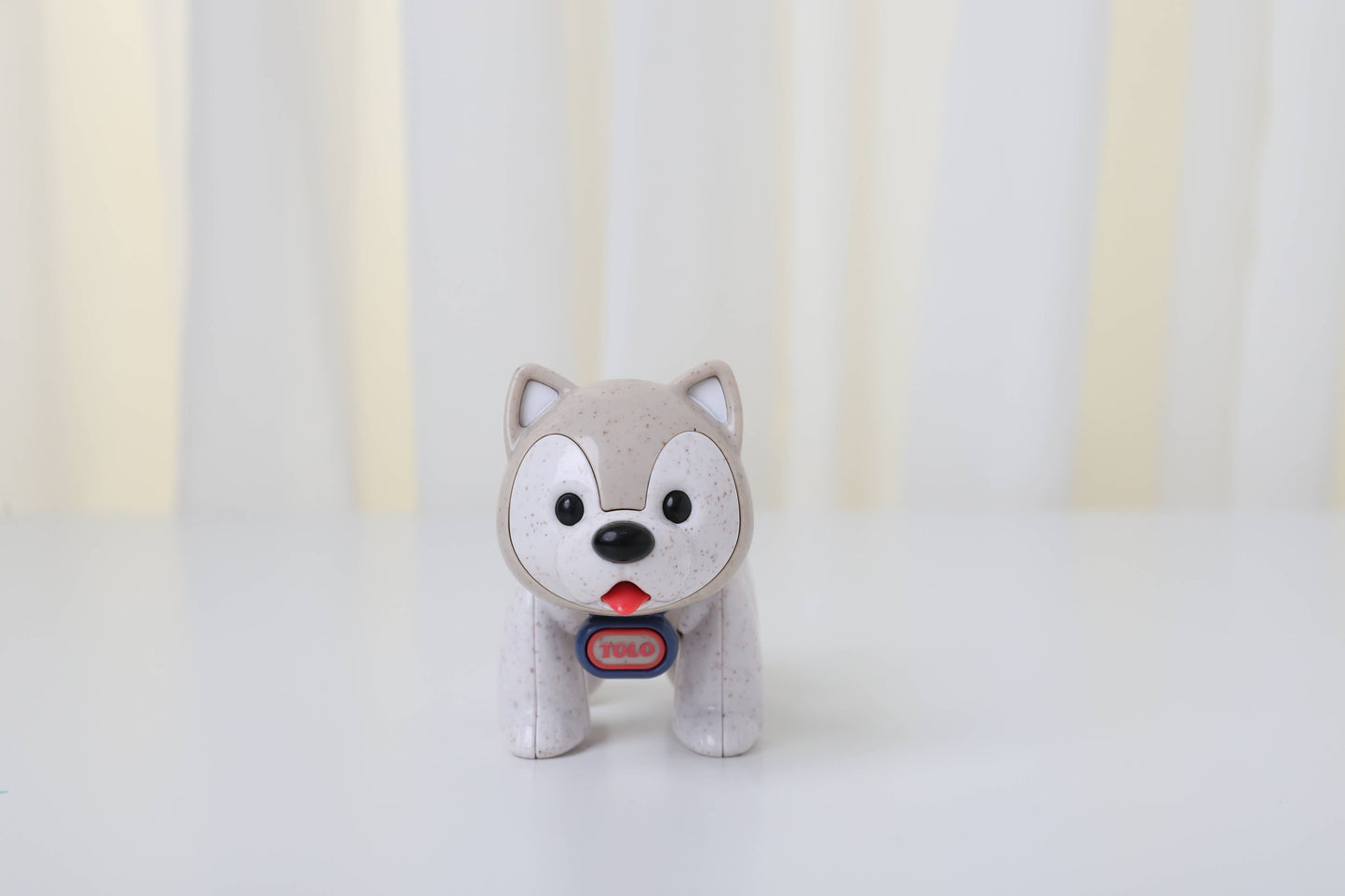 First Friends Husky
