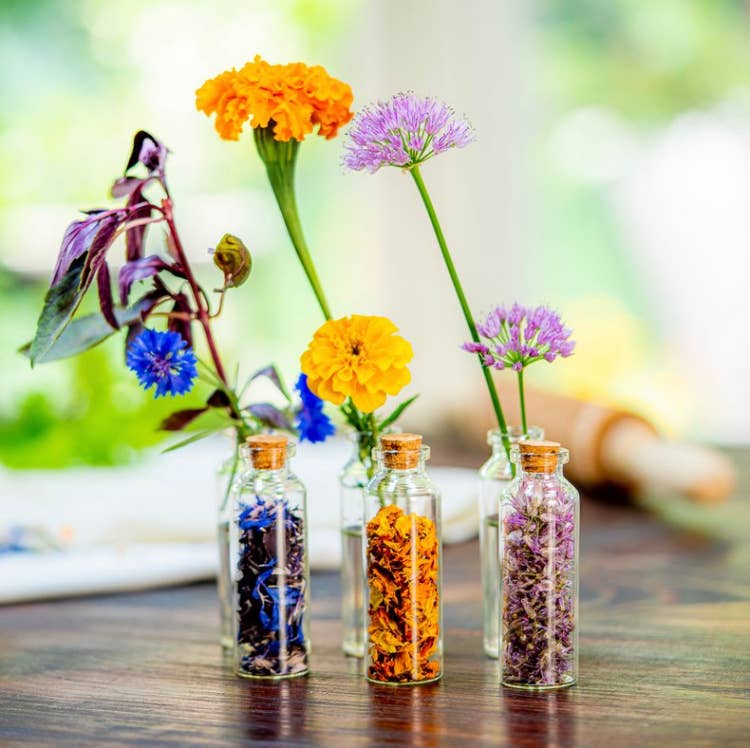 Edible Flower Seeds
