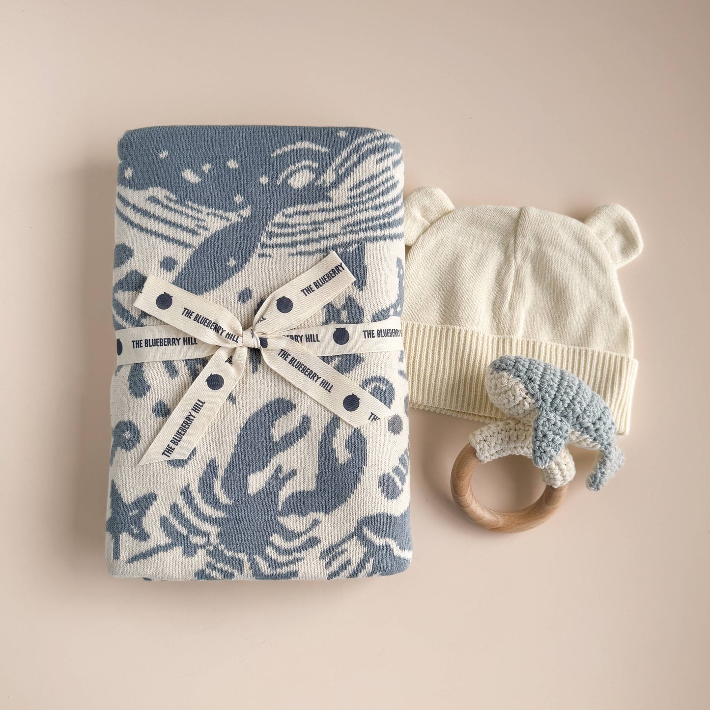Baby Gift Set with Nautical Blanket, Whale Teether, Organic Cotton Hat